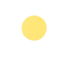 🟡