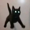 🐱