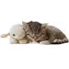 😴