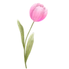 🎀