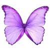 🦋