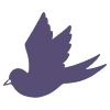 🕊