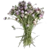 💐