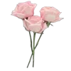 💐
