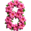 🌸