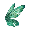 🦋