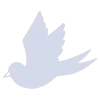 🕊