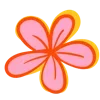 🌺