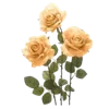 💐