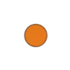 🟠