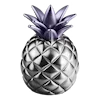 🍍