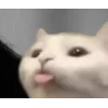 😝