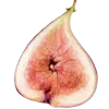 🫐