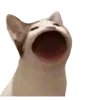 😮