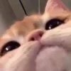 👀