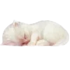😴