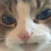 😠