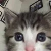 😳