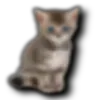 ™️