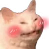🐈