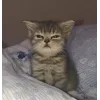 😴