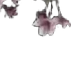 ⭐️