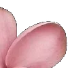 ⭐