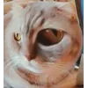 🧐