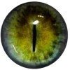 👁️