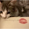 👄