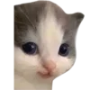 🙂