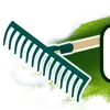 🌱