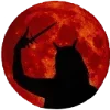 🌚