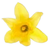 💐