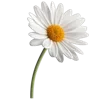 💐
