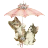 ☂