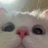 👀