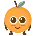 🍊
