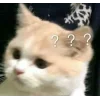 ❓