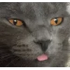 😛