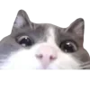 👀