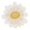 🌼