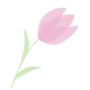 🌷