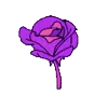 🌷