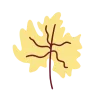 🍁