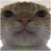😠