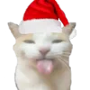 😸