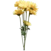 💐