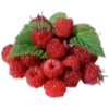 🍓
