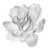 💐